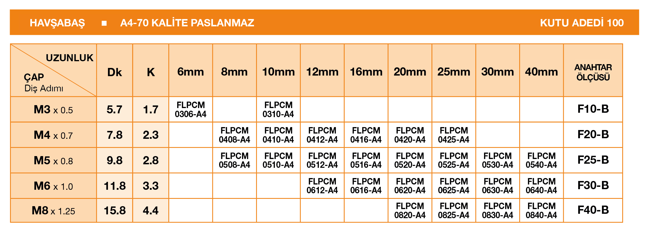 PİMLİ YILDIZ TORX ANAHTARLI HAVŞABAŞLI GÜVENLİK CİVATASI