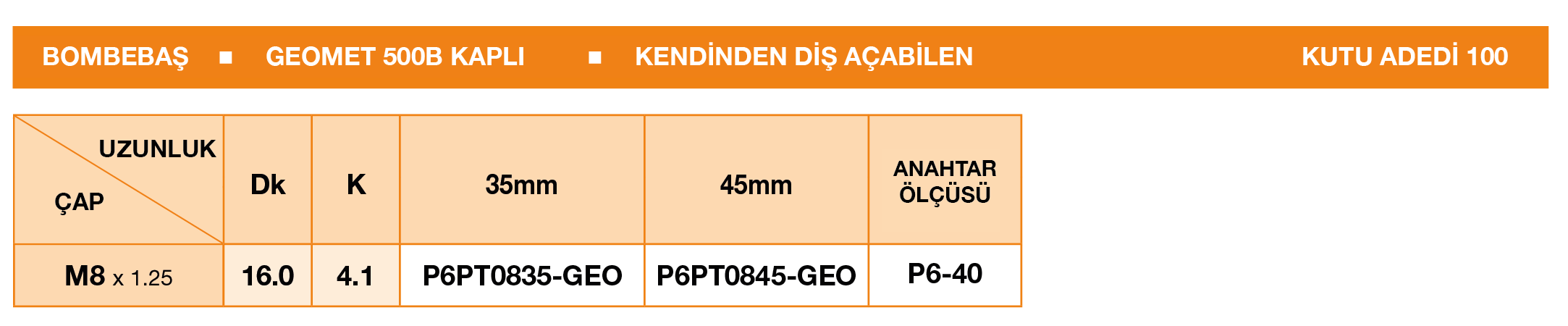 PİMLİ TORX ANAHTARLI BOMBEBAŞLI GÜVENLİK KILAVUZ VİDASI