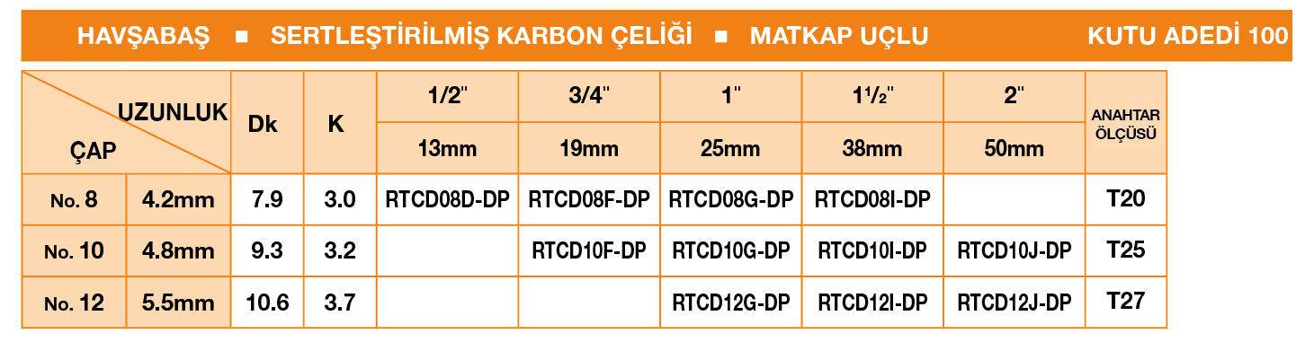 PİMLİ TORX ANAHTARLI HAVŞABAŞLI MATKAP UÇLU GÜVENLİK VİDASI