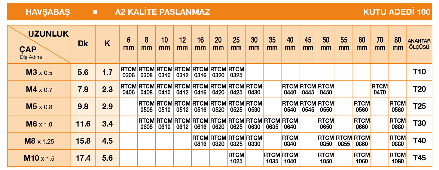 PİMLİ TORX ANAHTARLI HAVŞABAŞLI GÜVENLİK CİVATASI